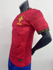 BRAZILIË UITSHIRT 25/26